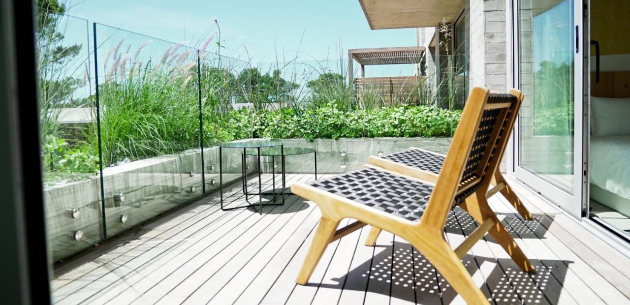 Casagrande Hotel & Beach Club José Ignacio Zewnętrze zdjęcie A rooftop garden
